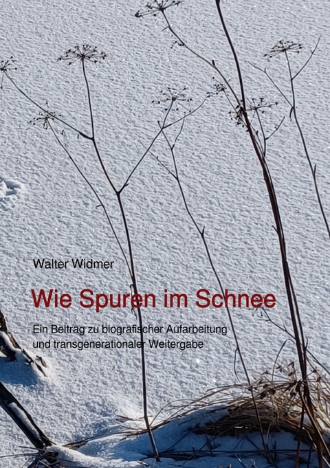 Wie Spuren im Schnee - Walter Widmer