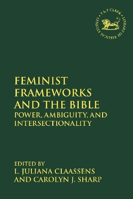 Feminist Frameworks and the Bible - 
