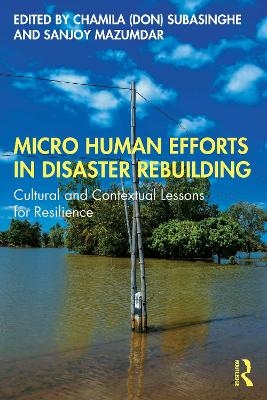 Micro Human Efforts in Disaster Rebuilding