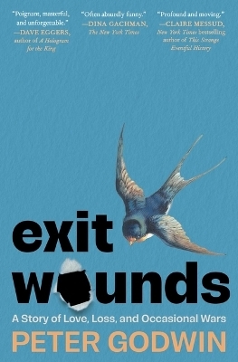 Exit Wounds