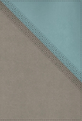 NIV Application Bible, Leathersoft, Teal/Grey, Red Letter, Comfort Print -  Zondervan