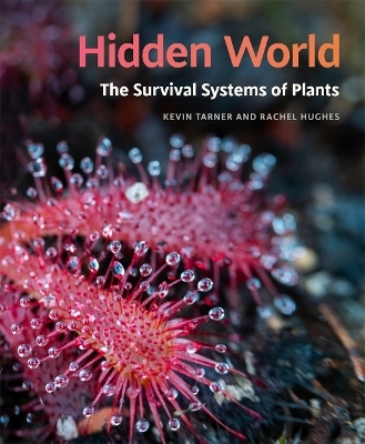 Hidden World - Kevin Tarner, Rachel Hughes