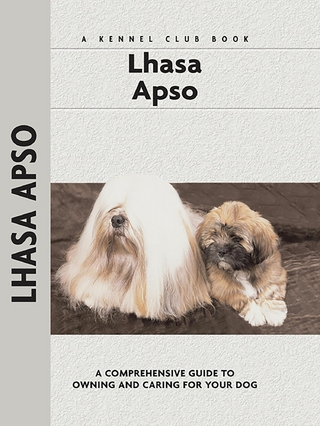Lhasa Apso