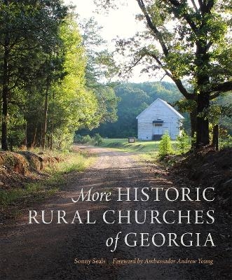 More Historic Rural Churches of Georgia - Sonny Seals