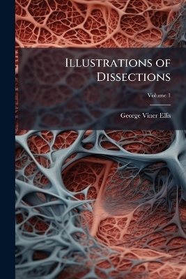 Illustrations of Dissections
