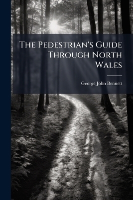 The Pedestrian's Guide Through North Wales
