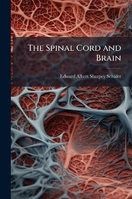 The Spinal Cord and Brain