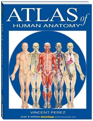 Atlas of the Human Anatomy - Vincent Perez