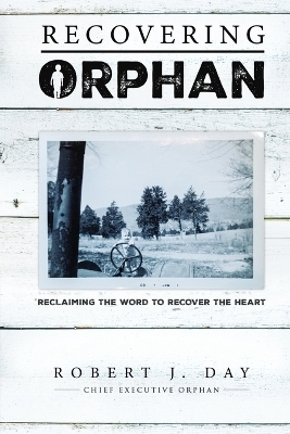 Recovering Orphan - Robert J Day