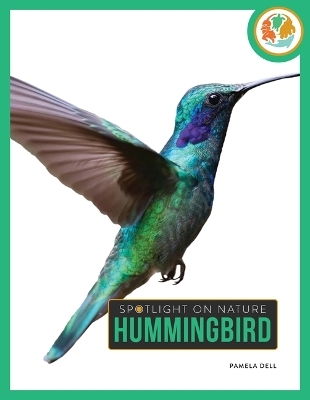 Hummingbird
