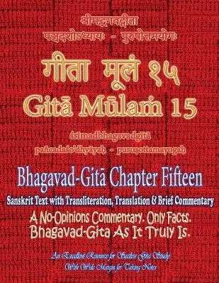 Gita Mulam 15 - Bhagavad Gita Chapter Fifteen - Adarsh Saxena, Vijay Kumar