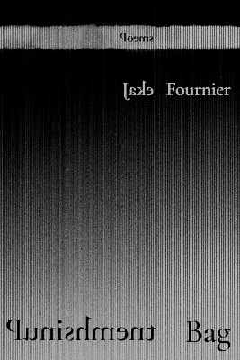 Punishment Bag - Jake Fournier