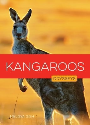 Kangaroos - Melissa Gish
