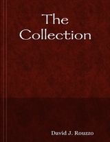 Collection -  David J. Rouzzo