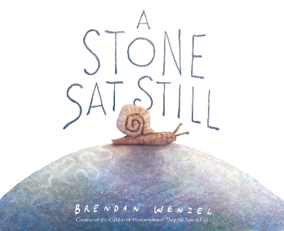 A Stone SAT Still - Brendan Wenzel