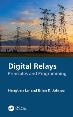 Digital Relays - Hangtian Lei, Brian K. Johnson