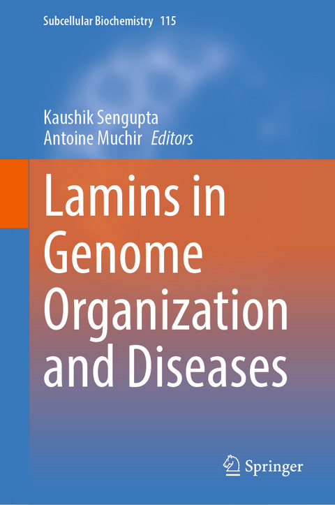 Lamins in Genome Organization and Diseases - 