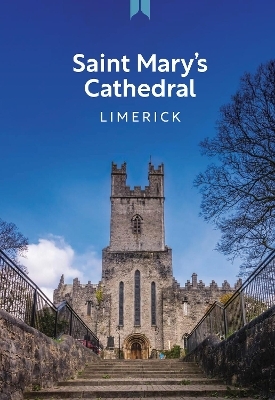 Saint Mary's Cathedral Limerick - 