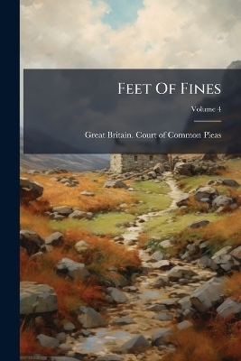 Feet Of Fines - 