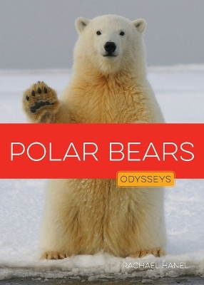 Polar Bears