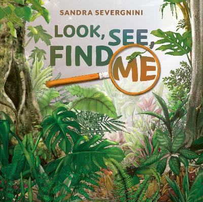 Look, See, Find Me - Sandra Severgnini