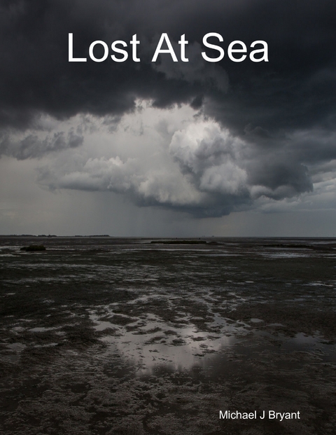 Lost At Sea -  Michael J Bryant