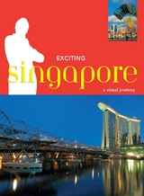 Exciting Singapore - David Blocksidge