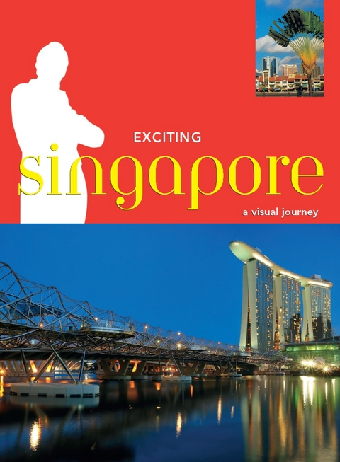 Exciting Singapore - David Blocksidge