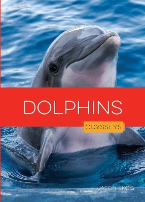Dolphins