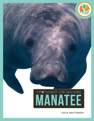 Manatee - Lisa M Bolt Simons