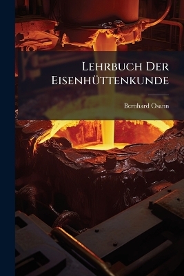Lehrbuch Der EisenhÃ1/4ttenkunde