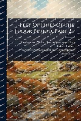 Feet Of Fines Of The Tudor Period, Part 2... - Francis Collins
