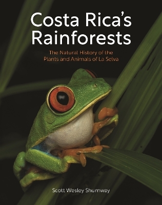 Costa Rica's Rainforests - Scott Wesley Shumway