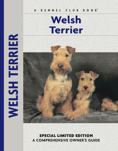 Welsh Terrier - Bardi McLennan