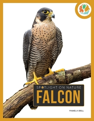 Falcon - Pamela Dell