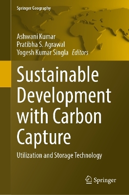 Sustainable Development with Carbon Capture - 