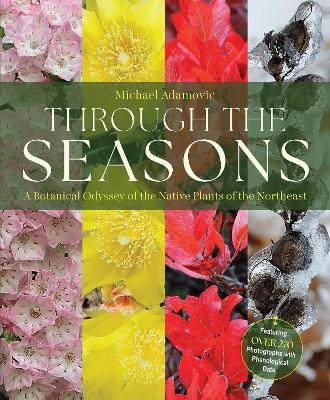 Through the Seasons - Michael Adamovic