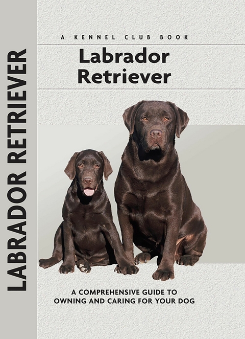 Labrador Retriever - Margaret A. Gilbert