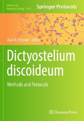 Dictyostelium discoideum - 