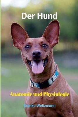 Der Hund - Branko Weitzmann