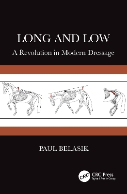 Long and Low - Paul Belasik
