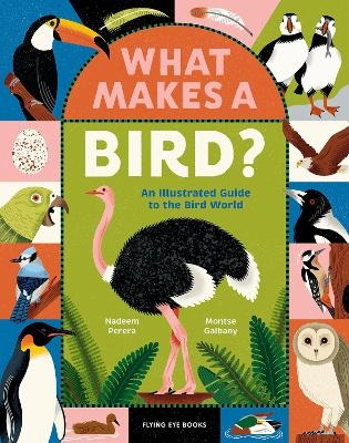 What Makes a Bird? - Nadeem Perera