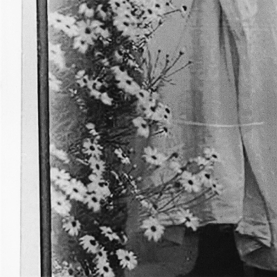 The Fold - Hoda Afshar