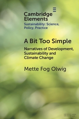 A Bit Too Simple - Mette Fog Olwig