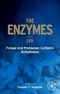 Fungal and Protozoan Carbonic Anhydrases