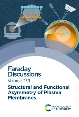 Structural and Functional Asymmetry of Plasma Membranes