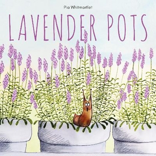 Lavender Pots
