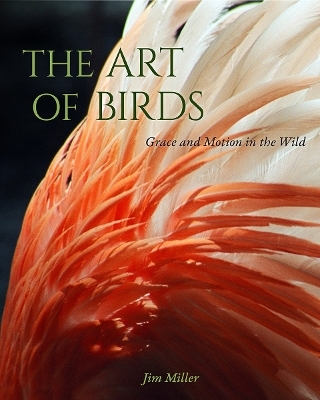 The Art of Birds - Jim Miller