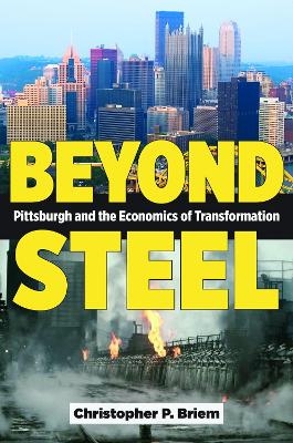 Beyond Steel - Christopher P. Briem