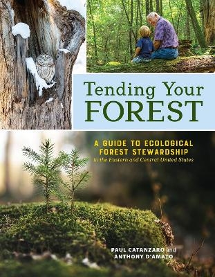 Tending Your Forest - Anthony D'Amato, Paul Catanzaro